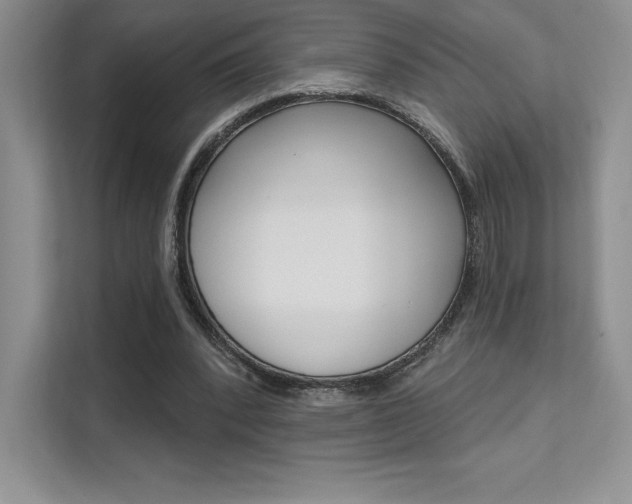 X0000112180392200908070944