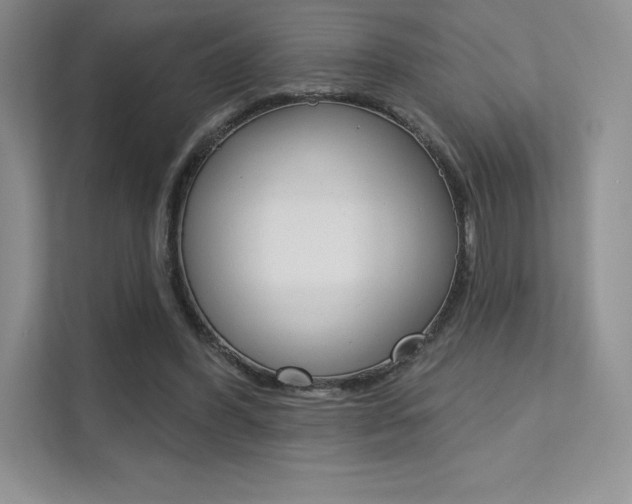 X0000112180396200908070944