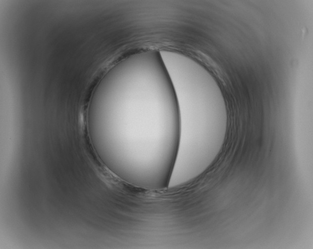 X0000112180405200908070944