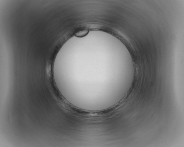 X0000112180406200908070944