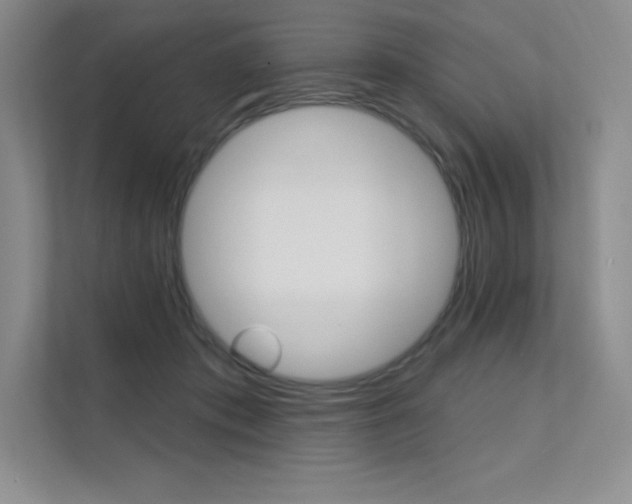 X0000112180413200908070944
