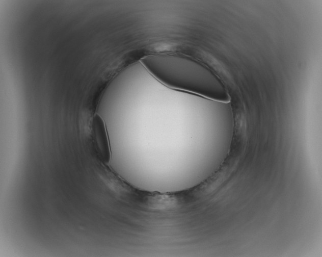 X0000112180421200908070944