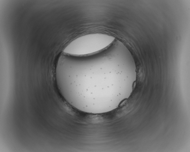 X0000112180424200908070944