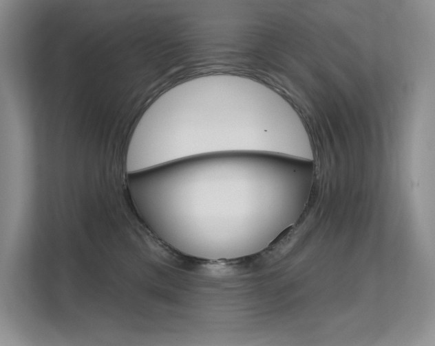 X0000112180425200908070944