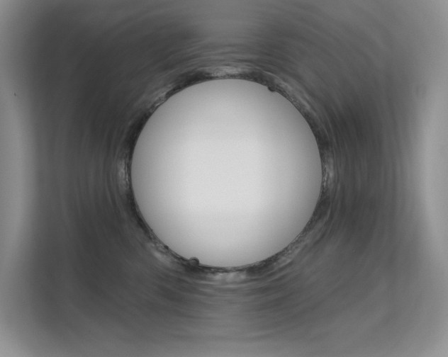 X0000112180426200908070944