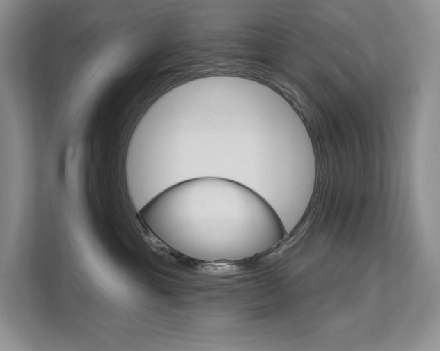 X0000112180429200908070944