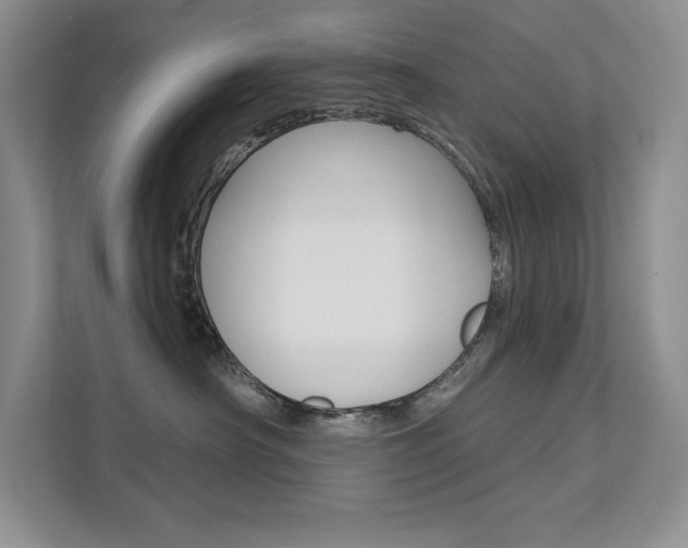 X0000112180430200908070944