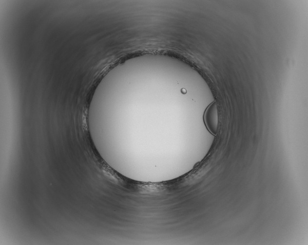 X0000112180432200908070944