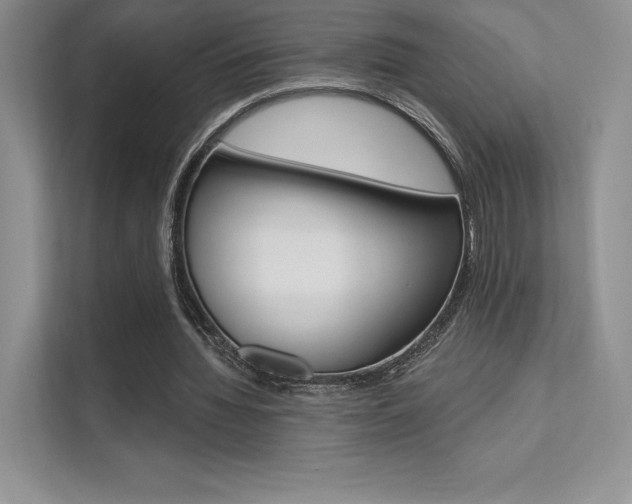 X0000112180436200908070943
