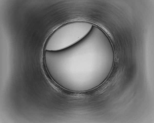 X0000112180437200908070943