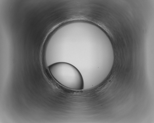 X0000112180440200908070943