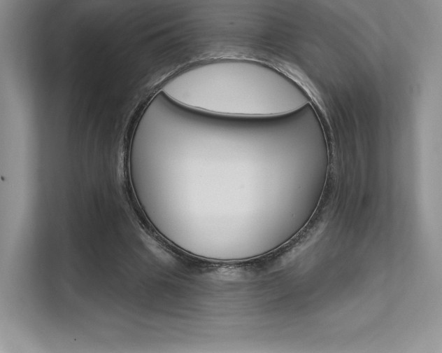 X0000112180441200908070943