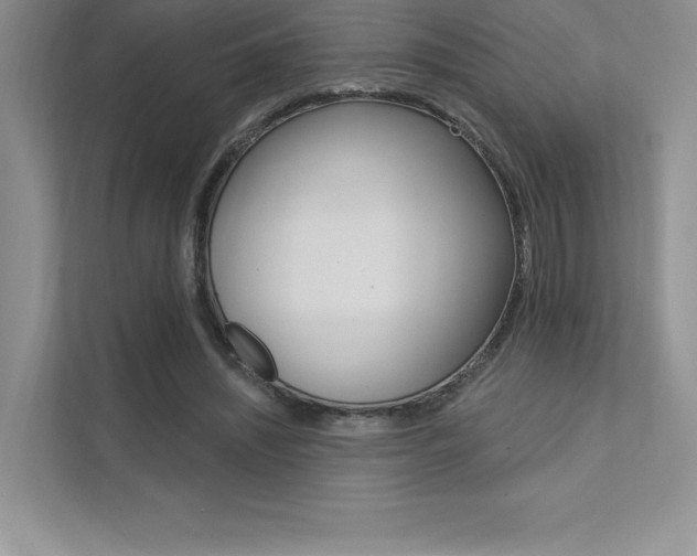 X0000112180444200908070943