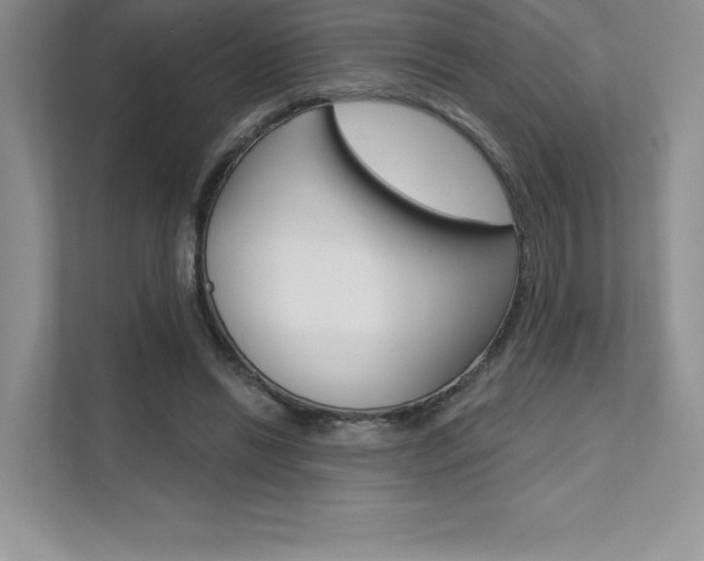X0000112180446200908070943