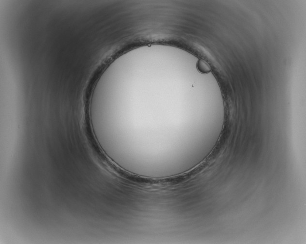 X0000112180447200908070943
