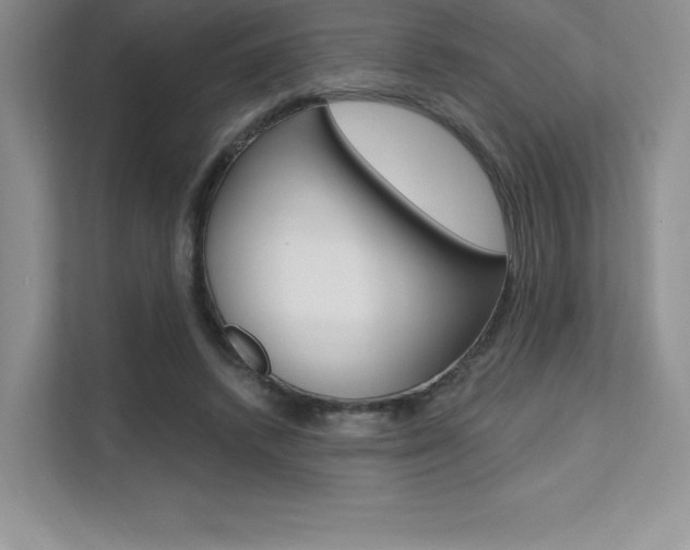 X0000112180448200908070943