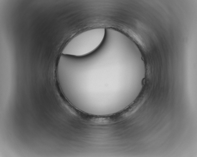 X0000112180449200908070943