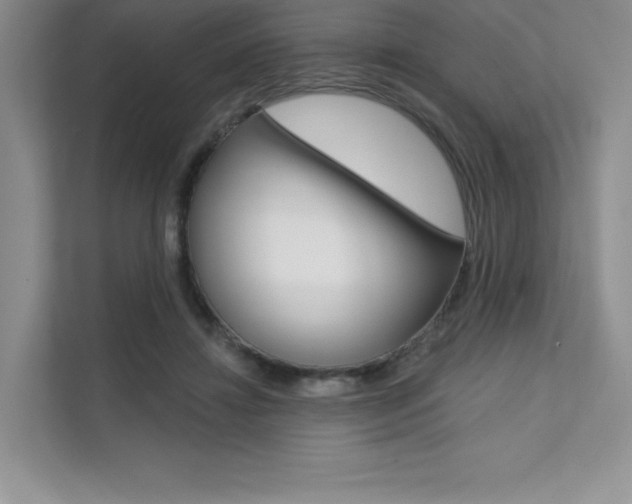 X0000112180452200908070943