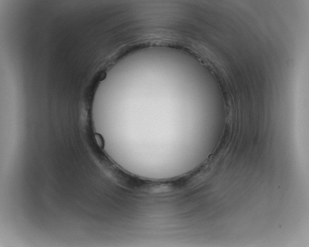 X0000112180456200908070944