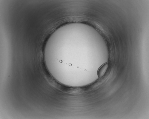 X0000112180459200908070944