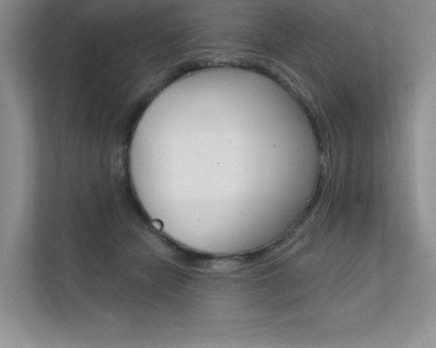 X0000112180462200908070944