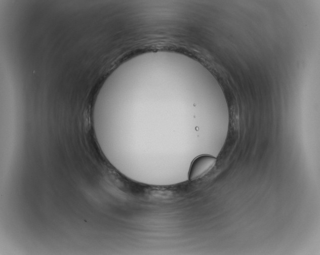 X0000112180471200908070944
