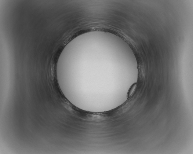 X0000112180475200908070944