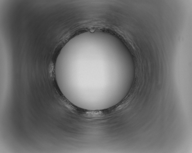 X0000112180480200908070944