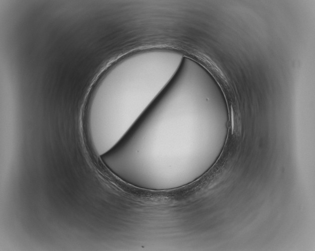 X0000112180483200908070943