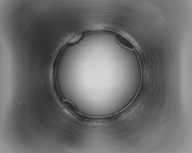 X0000112180485200908070943