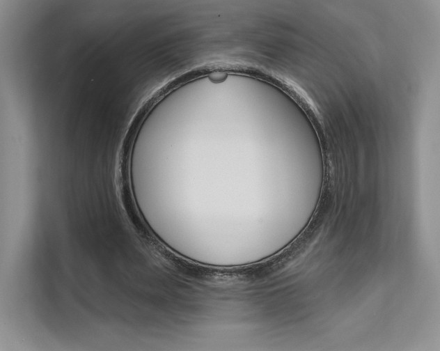 X0000112180487200908070943