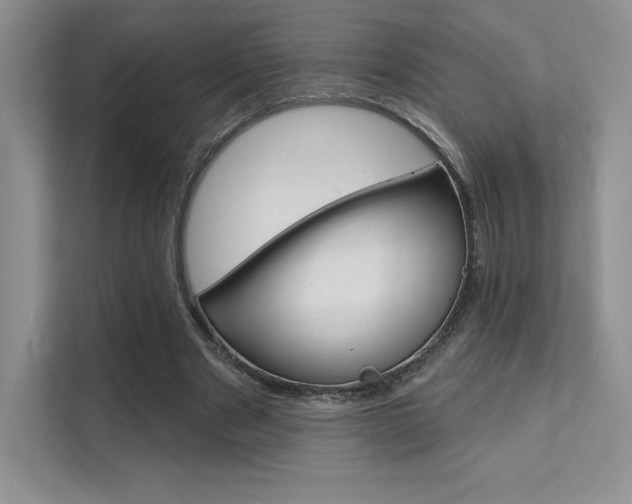 X0000112180489200908070943