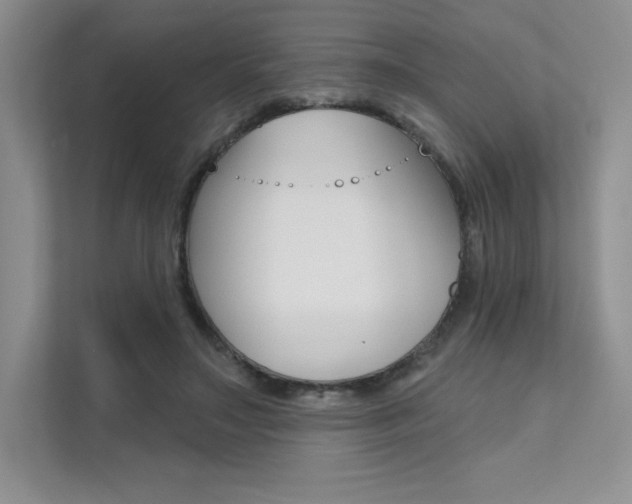 X0000112180499200908070943