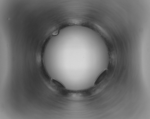 X0000112180500200908070943