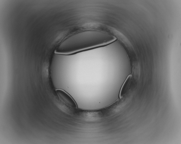 X0000112180501200908070943