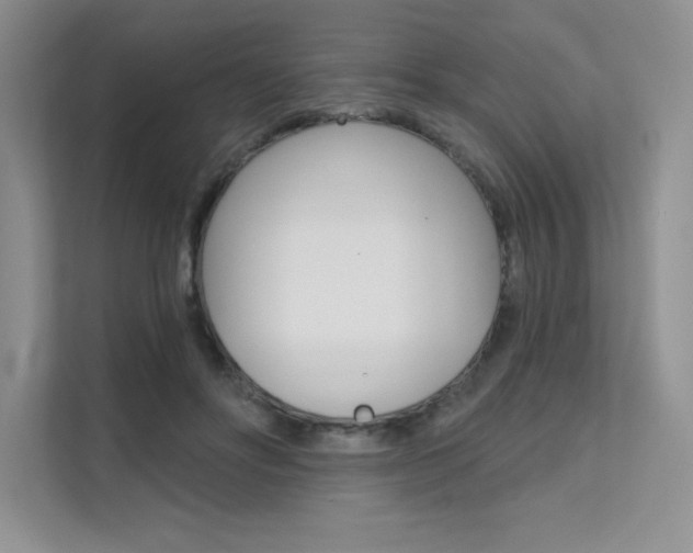 X0000112180502200908070943