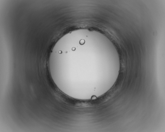 X0000112180503200908070943