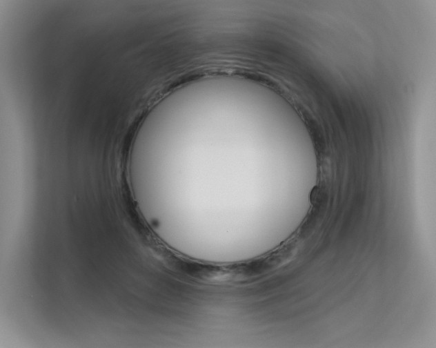X0000112180504200908070943