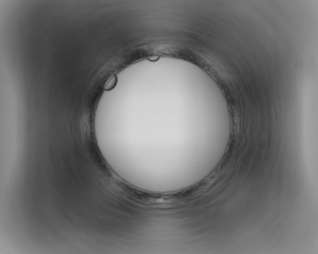 X0000112180506200908070943