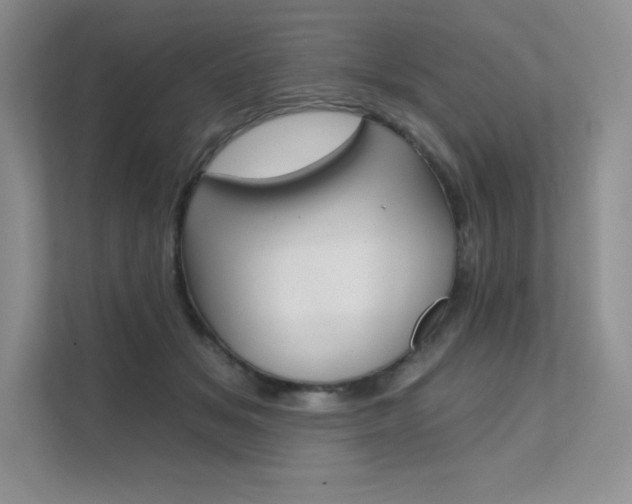 X0000112180509200908070943