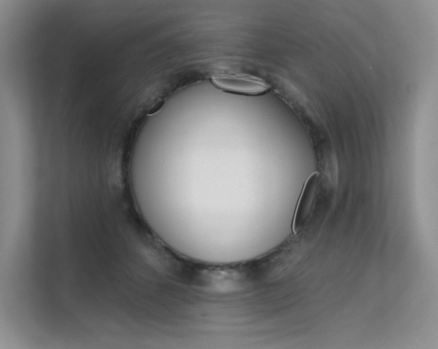 X0000112180512200908070943