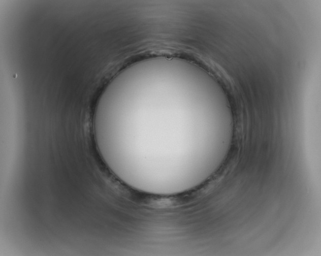 X0000112180513200908070943