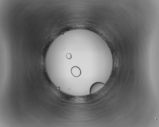 X0000112180518200908070943