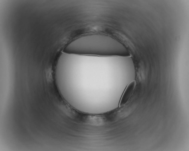 X0000112180520200908070943