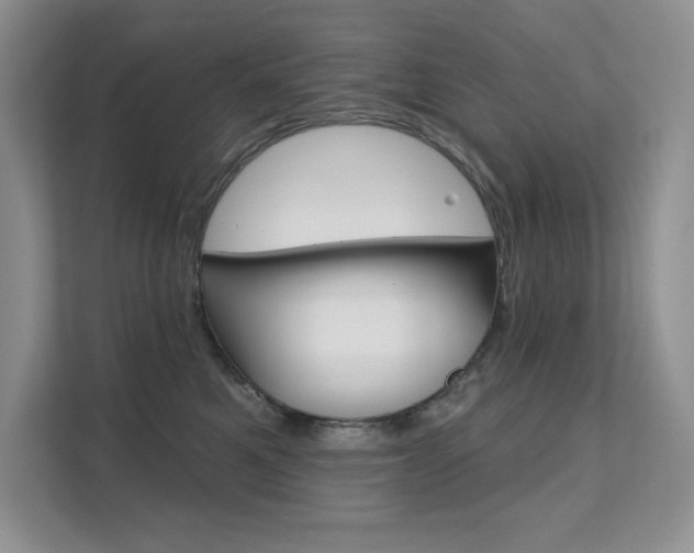 X0000112180521200908070943