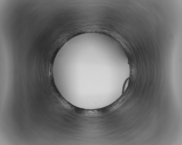X0000112180525200908070943