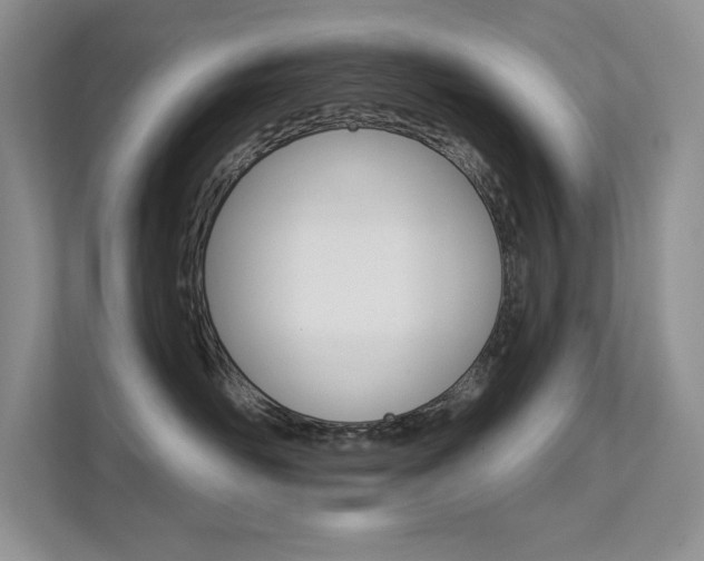 X0000112180526200908070943