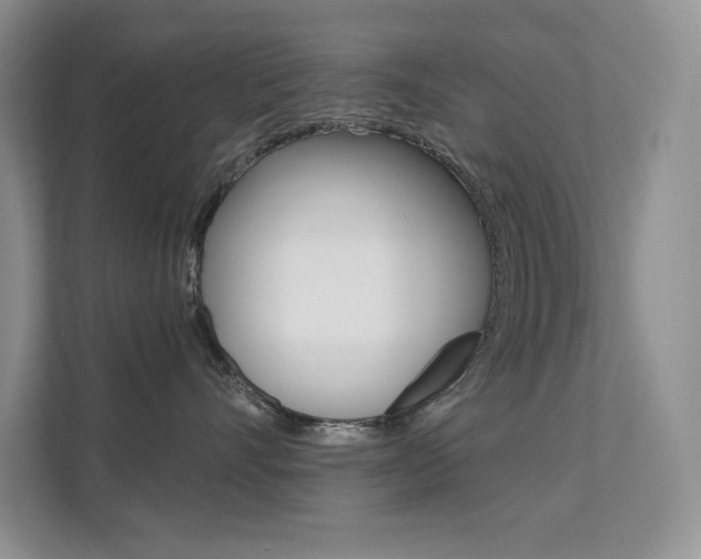 X0000112180528200908070943