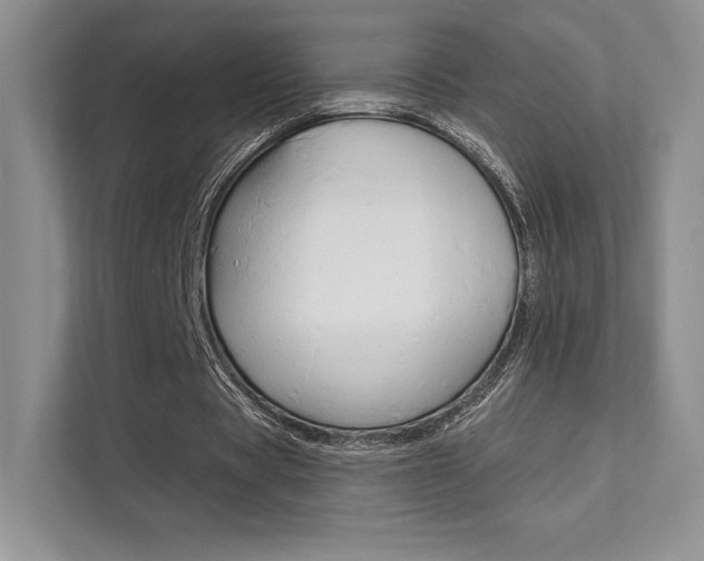 X0000112180529200908070942