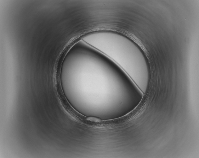 X0000112180530200908070942